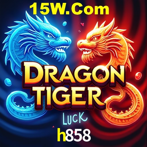 API Integration h858