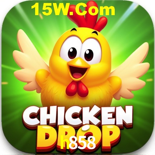 h858 Rio de Janeiro - Bonus Terms